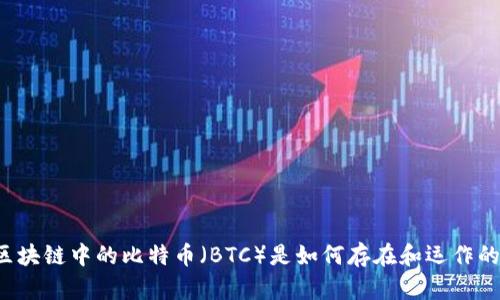 区块链中的比特币（BTC）是如何存在和运作的？