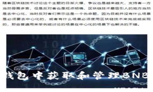 如何在TP钱包中获取和管理BNB：详细指南