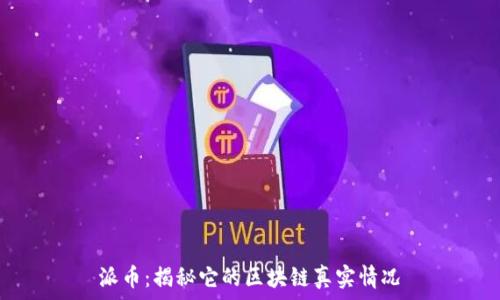   
派币：揭秘它的区块链真实情况