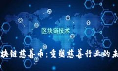 区块链慈善币：重塑慈善行业的未来