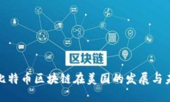 : 比特币区块链在美国的发