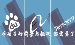 区块链糖币项目的前景与