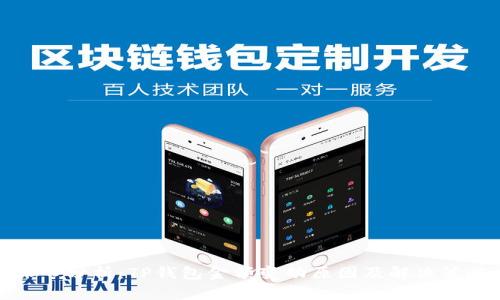 深入分析：TP钱包金额变动原因及解决策略