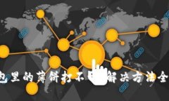 TP钱包里的薄饼打不开？解决方法全解析！