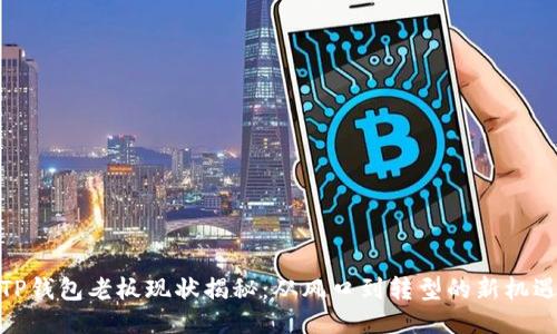 TP钱包老板现状揭秘：从风口到转型的新机遇