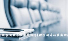 : 如何高效查询狗币区块链信息？探索狗币的最新