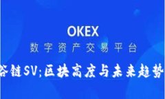  虚拟币硅谷链SV：区块高