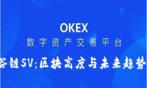  虚拟币硅谷链SV：区块高度与未来趋势的深度解析