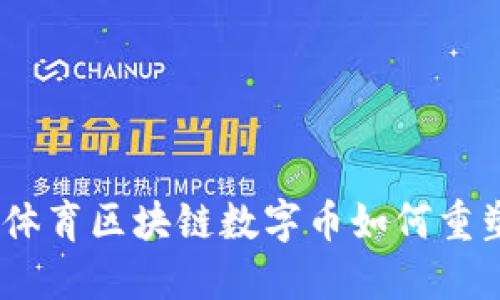 创新未来：体育区块链数字币如何重塑运动经济