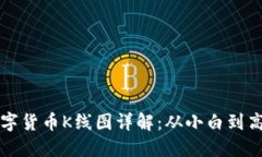 TP钱包中的数字货币K线图