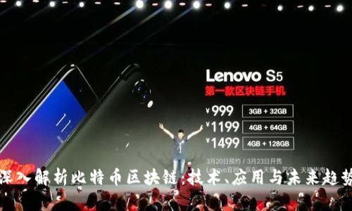 深入解析比特币区块链：技术、应用与未来趋势