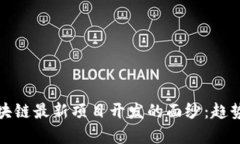 揭开上海区块链最新项目