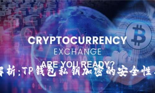 深入解析：TP钱包私钥加密的安全性与实践