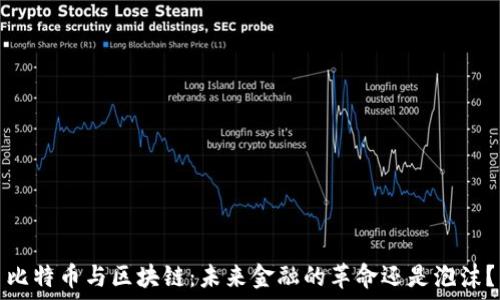   
比特币与区块链：未来金融的革命还是泡沫？