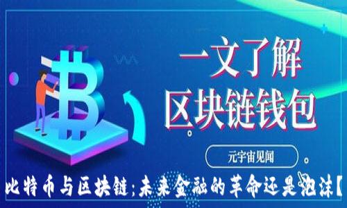   
比特币与区块链：未来金融的革命还是泡沫？