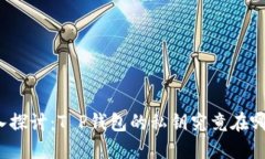 深入探讨：T P钱包的私钥