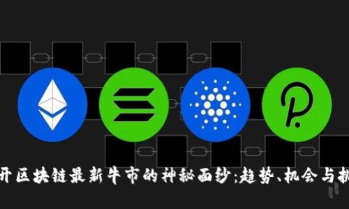 揭开区块链最新牛市的神秘面纱：趋势、机会与挑战