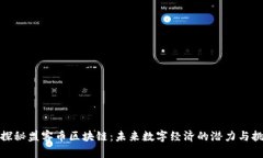 : 探秘盟客币区块链：未来