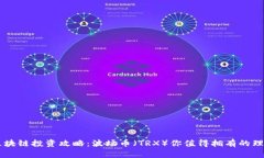 区块链投资攻略：波场币