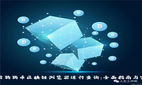 如何使用狗狗币区块链浏览器进行查询：全面指南与实用技巧