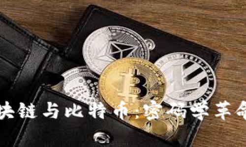 深入理解区块链与比特币：密码学革命的未来探析