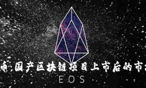 2023年首个十倍币：国产区块链项目上市后的市场潜力与挑战分析