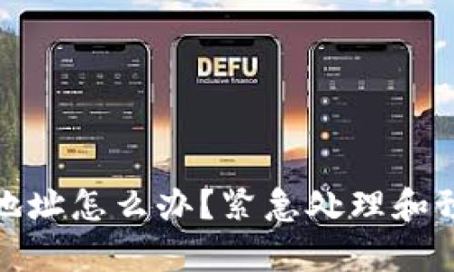 : Tp钱包转错地址怎么办？紧急处理和预防措施全解析