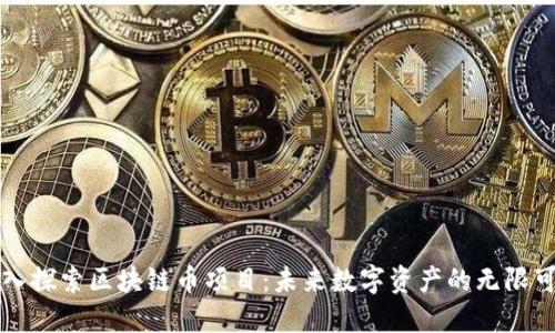深入探索区块链币项目：未来数字资产的无限可能