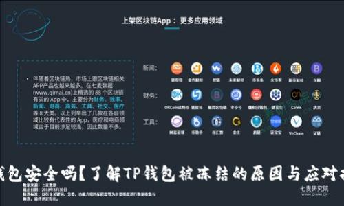 TP钱包安全吗？了解TP钱包被冻结的原因与应对措施