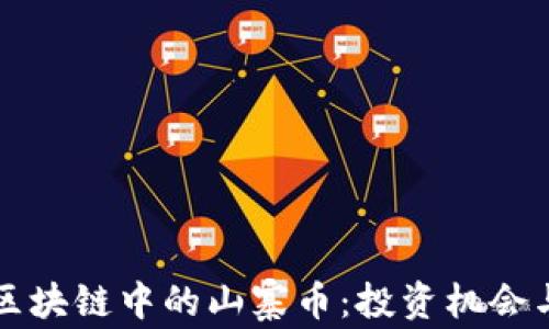 
深入了解区块链中的山寨币：投资机会与风险分析
