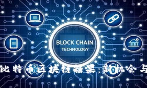 深入探讨比特币区块链糖果：新机会与市场前景