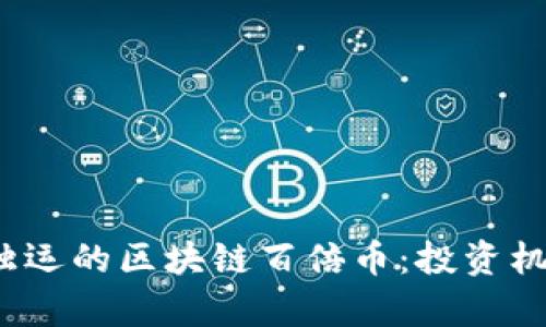 2018年匠心独运的区块链百倍币：投资机会与风险解析