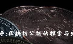 币乎：区块链公链的探索