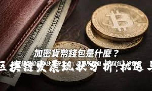 波兰区块链发展现状分析：机遇与挑战