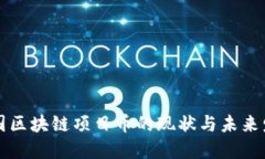 美国区块链项目币的现状