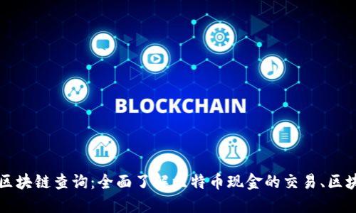 比特币现金区块链查询：全面了解比特币现金的交易、区块和地址信息
